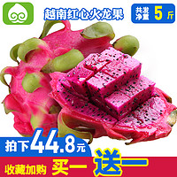 越南红心火龙果5斤 新鲜红肉火龙果进口花果山水果包邮