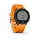  GARMIN 佳明 Forerunner245 运动手表　