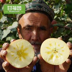 新疆阿克苏冰糖心苹果水果10斤新鲜当季红富士丑包邮