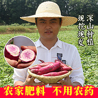 乡果味永兴红薯净重5斤18.9元