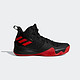 adidas 阿迪达斯 AQ0525 大童篮球鞋