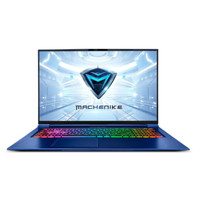 MACHENIKE 机械师 F117-FP 竞速版 17.3英寸 笔记本电脑 (蓝色、酷睿i7-10750H、32GB、512GB SSD+1TB HDD、RTX 2060 8G)