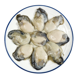 鲜佰客 冰冻去壳乳山生蚝肉 500g(大号30只左右)  *4件