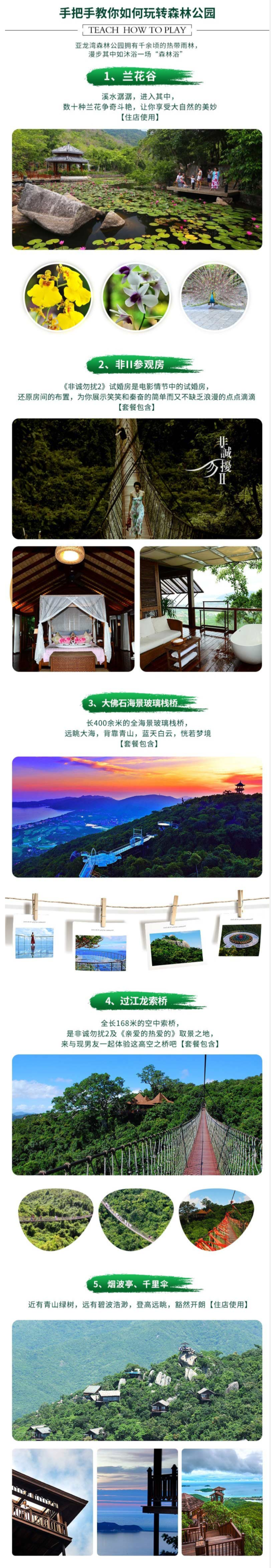 景点党最爱 三亚亚龙湾森林公园鸟巢酒店1晚 含门票+玻璃栈桥+早餐+下午茶