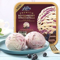 玛琪摩尔新西兰进口芒果鲜奶冰淇淋大桶水果巧克力冰激凌网红雪糕