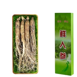 阳亿 新鲜人参 30g 盒装