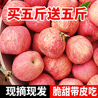 陕西冰糖心红富士苹果新鲜水果10斤装(果径70MM-80MM)不打蜡包邮