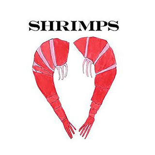 SHRIMPS