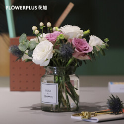 flowerplus 花加 MINIPLUS系列 订阅鲜花 订三个月（共12束，赠花瓶+绿植2瓶）