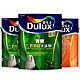 Dulux 多乐士 ICI0181-1 致悦竹炭抗甲醛无添加乳胶漆 18L