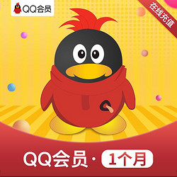 腾讯QQ会员1个月 qq会员一个月