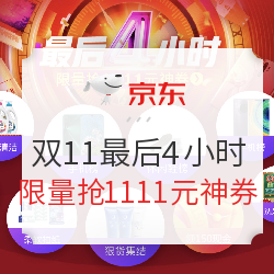 京东 双11最后4小时 主会场
