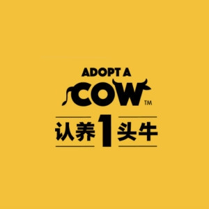 ADOPT A COW/认养一头牛