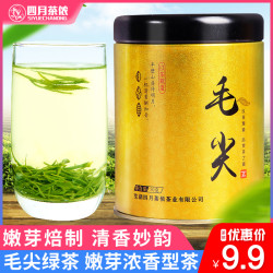 四月茶侬毛尖绿茶茶叶50g