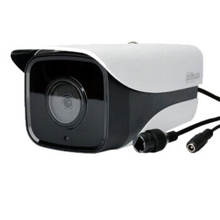 大华摄像头监控室外130万POE网络夜视高清H265监控设备套装摄像机 DH-IPC-HFW2130M-I1单灯红外夜视