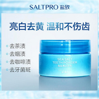 SALTPRO 盐致 生态海盐亮白牙粉 40g