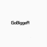 GoBigger