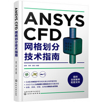 ANSYS CFD网格划分技术指南
