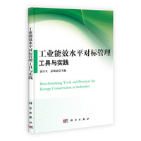工业能效水平对标管理工具与实践