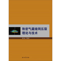 致密气藏缝网压裂理论与技术