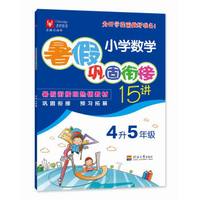 （2019）小学数学暑假巩固衔接15讲  4升5年级
