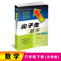 2019春尖子生题库系列：六年级数学下（北师版）（BS版）