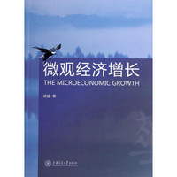 微观经济增长