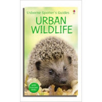 Urban Wildlife