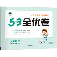 53天天练同步试卷 53全优卷 小学数学 六年级下 RJ（人教版）2019年春
