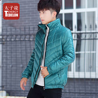 太子龙 TEDELON 棉衣男 2019冬季新品立领棉服外套男装士休闲保暖短款纯色加厚棉袄 HC-HCM6818 湖绿色 2XL