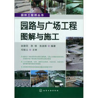 园林工程师丛书：园路与广场工程图解与施工