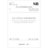 中华人民共和国能源行业标准（NB/T 10075-2018）：水电工程岩溶工程地质勘察规程