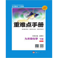 重难点手册 九年级化学 下册 RJ