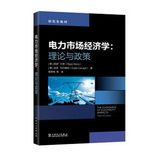 研究生教材  电力市场经济学：理论与政策