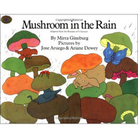 Mushroom in the Rain  雨中的蘑菇