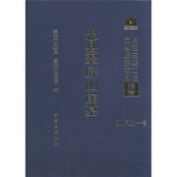 长江三峡工程文物保护项目报告：忠县翠屏山崖墓（乙种第21号）