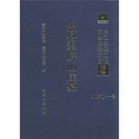 长江三峡工程文物保护项目报告:忠县翠屏山崖墓(乙种第21号)