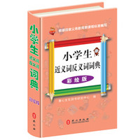 小学生近义词反义词词典（彩绘版）