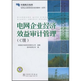 电网企业管理岗位培训教材（试用）：电网企业经济效益审计管理（C级）