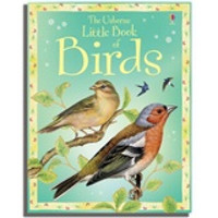 Little Book of Birds (Padded Hardback)