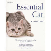 Essential Cat