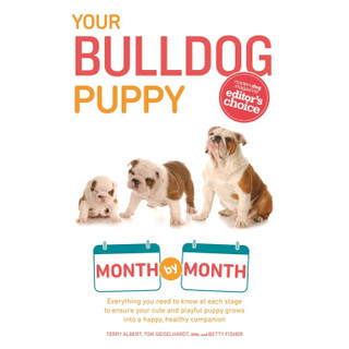 Your Bulldog Puppy Month by Month