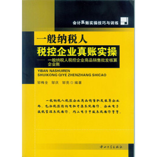 一般纳税人税控企业真账实操：一般纳税人税控企业商品销售批发核算企业账