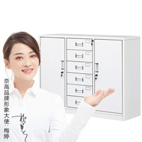 奈高 NG文件柜矮柜档案柜钢制资料柜储物柜书柜茶水柜宽中六下节
