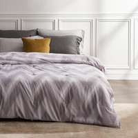 大朴（DAPU）被芯 100%蚕丝被子母被 优质长丝 四季被子 天丝面料 净重2+4斤 220*240cm