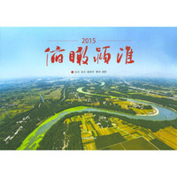 俯瞰颍淮(2015)