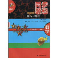 初中四星级同步题组训练与测评：数学（九年级一、二期）