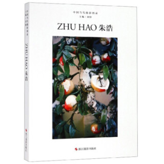 朱浩/中国当代摄影图录