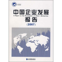 中国企业发展报告2007