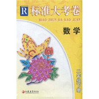 标准大考卷：数学（2年级下册）R